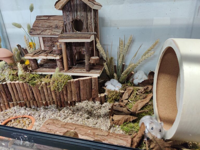 Hamsterscape voor Dwerghamster