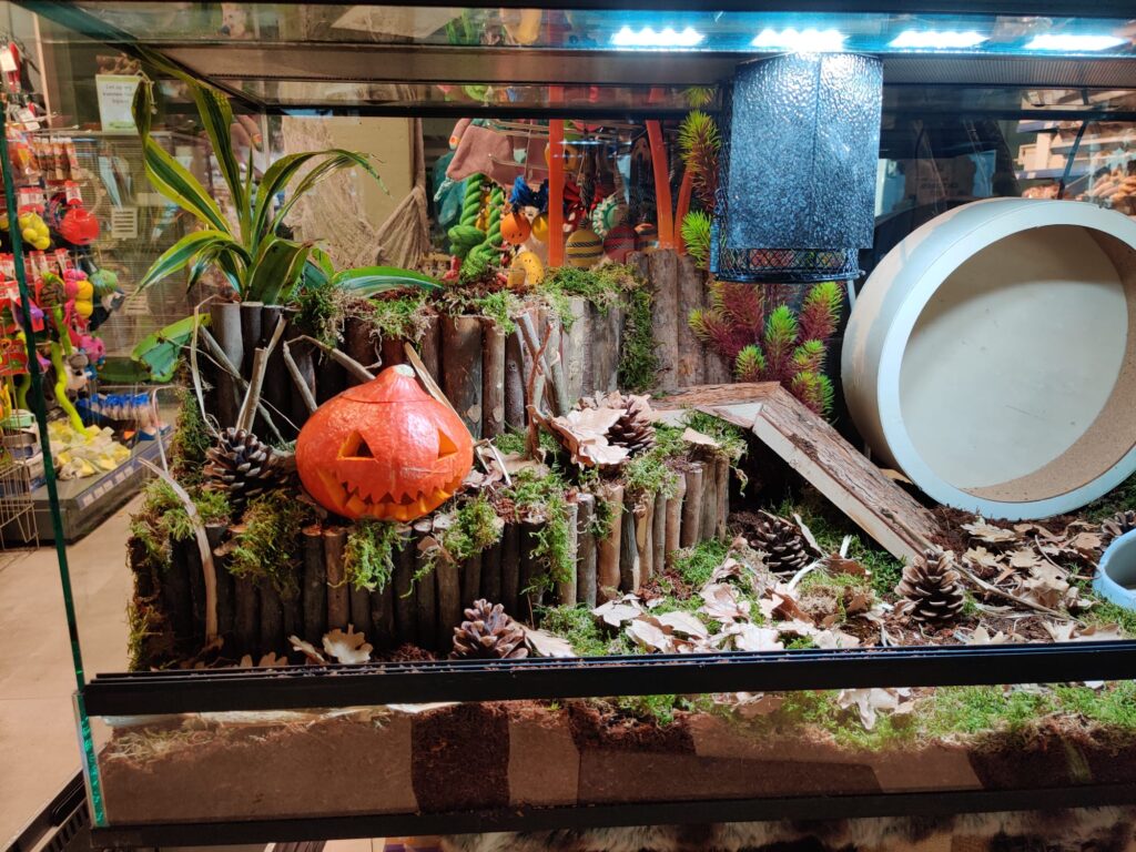 Scape voor een Tenrec egel