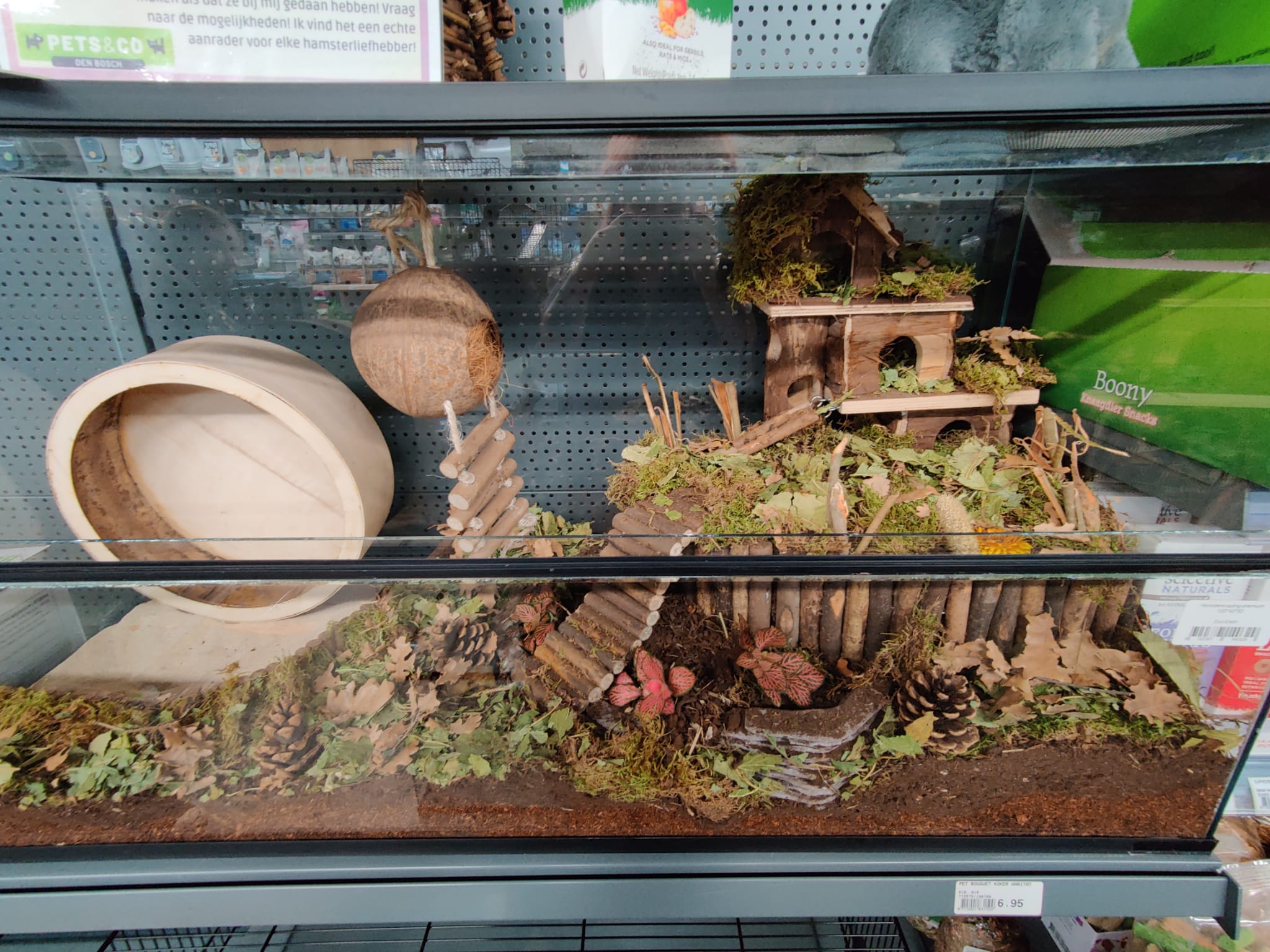 Hamsterscape voor een goudhamster