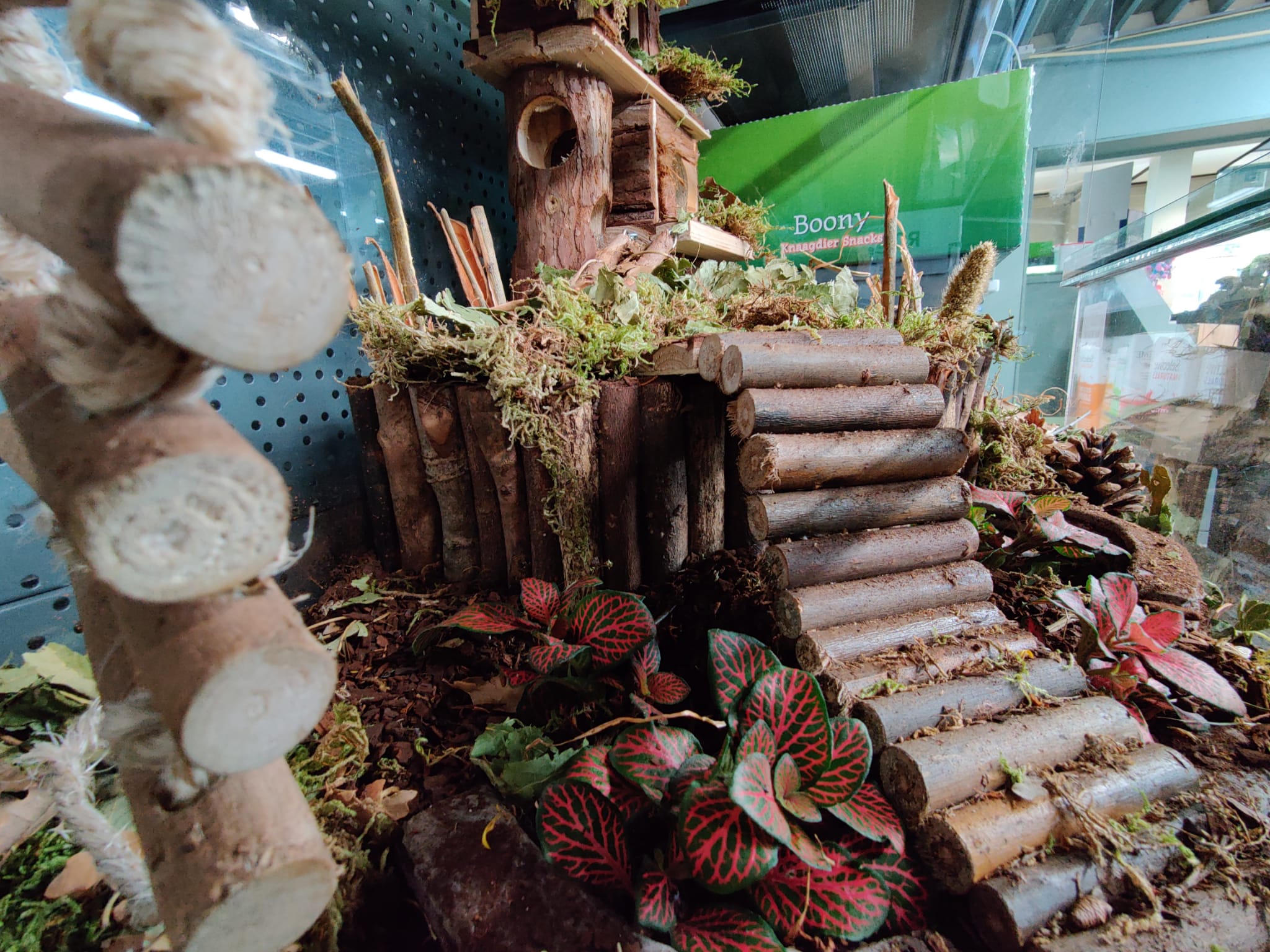 Hamsterscape voor een goudhamster