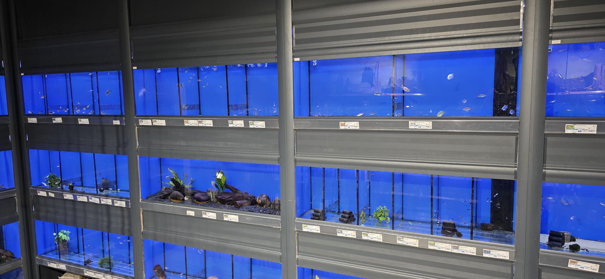 Aquarium DSZ Den Bosch