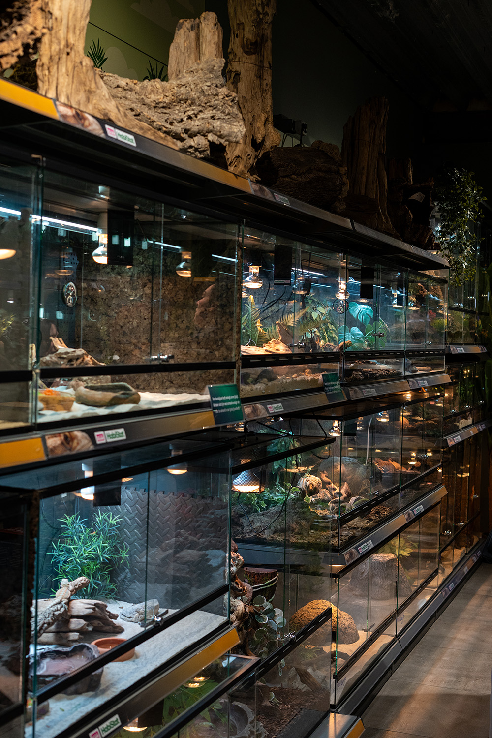 Reptielenopvang DSZ Den Bosch