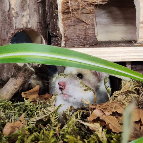 WhatsApp Image 2022-11-30 at 16.25.57